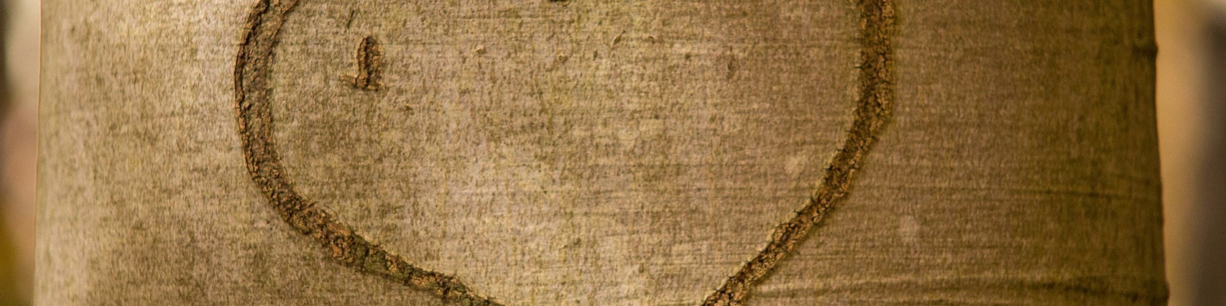 συναισθηματική νοϋμοσύνη, ψυχοπαιδαγωγική παρέμβαση στα βριλήσσια